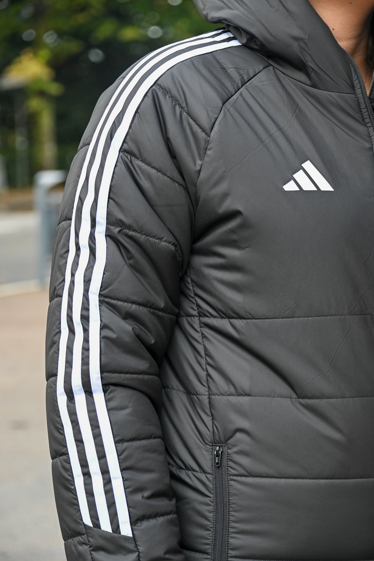 Giacca Invernale Siena F.C.